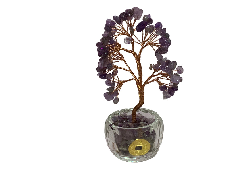 Tree potted in glass  with a coin | Home Docer