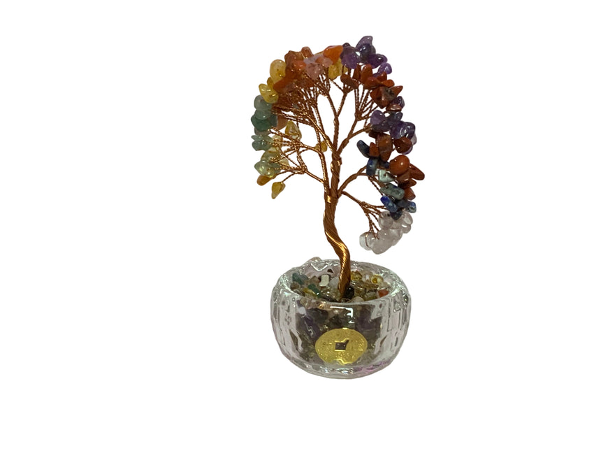 Tree potted in glass  with a coin | Home Docer