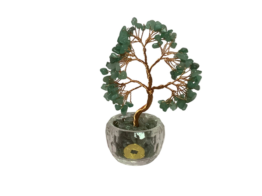 Tree potted in glass  with a coin | Home Docer