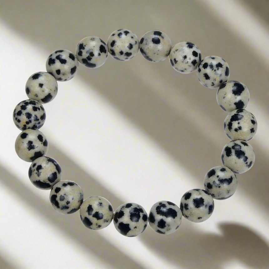 Dalmatian | Bracelet