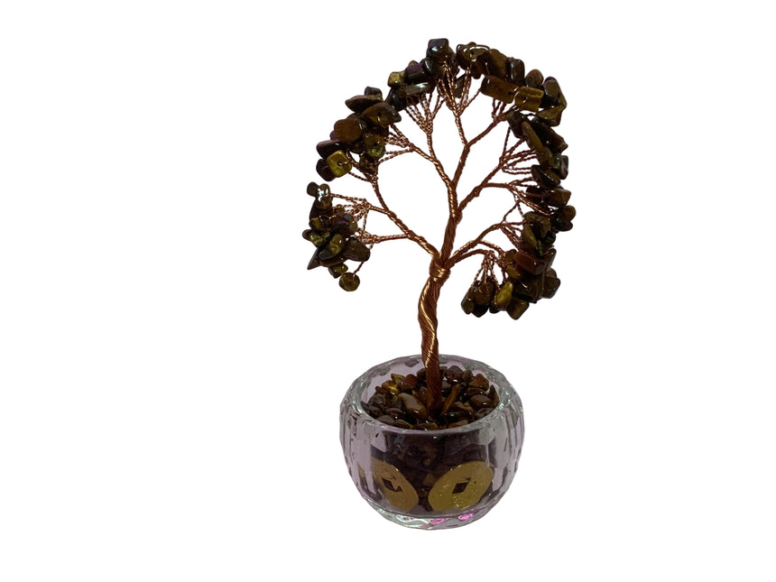 Tree potted in glass  with a coin | Home Docer